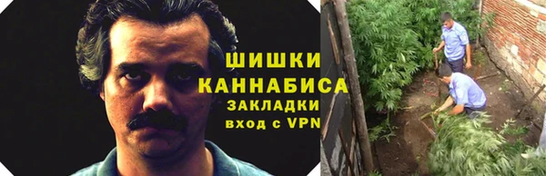 эйфоретик Осинники