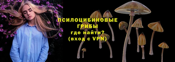 PSILOCYBIN Переславль-Залесский