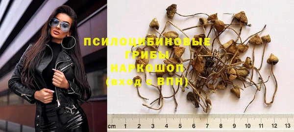 PSILOCYBIN Переславль-Залесский