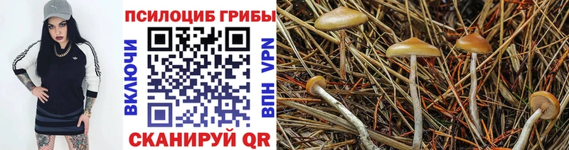 Псилоцибиновые грибы прущие грибы Купить закладки Урень